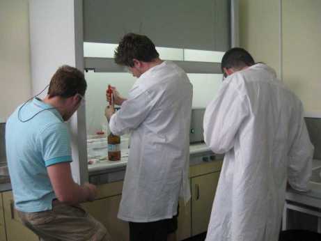 CarEcology 2010